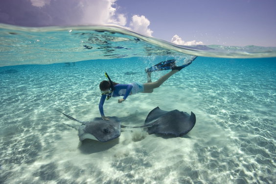 Discover Grand Cayman