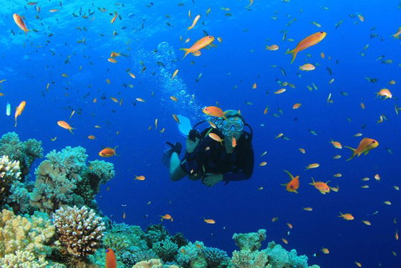 Paros Scuba Diving Tour