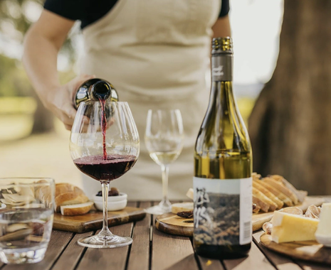 Private Bordeaux Wine Tour