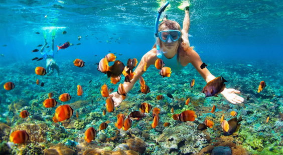 Half Day Barbados Snorkel Charter