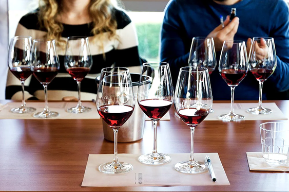 Dordogne 'Sur Place' Wine Tasting