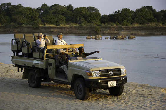 Limpopo Game Drives