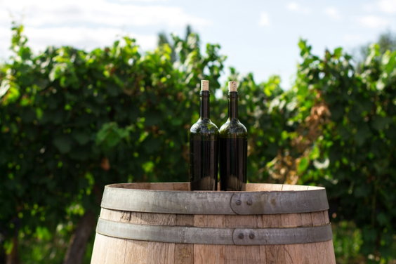 Oregon Wine Tasting for Two