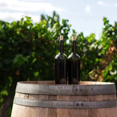 Midwest Wine Tasting