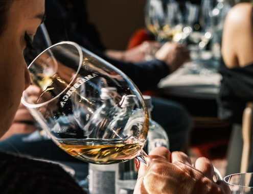 Puglian Winery Tour & Tasting