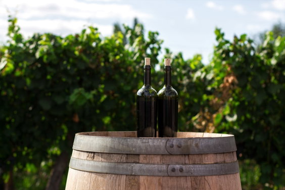 Willamette Wine Tour