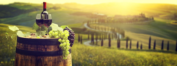 Tuscan Beauty