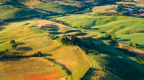 Timeless Tuscany