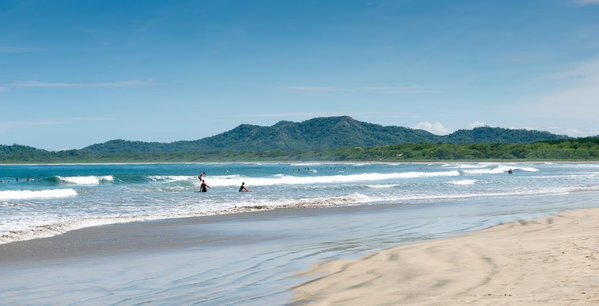 Tamarindo Vida