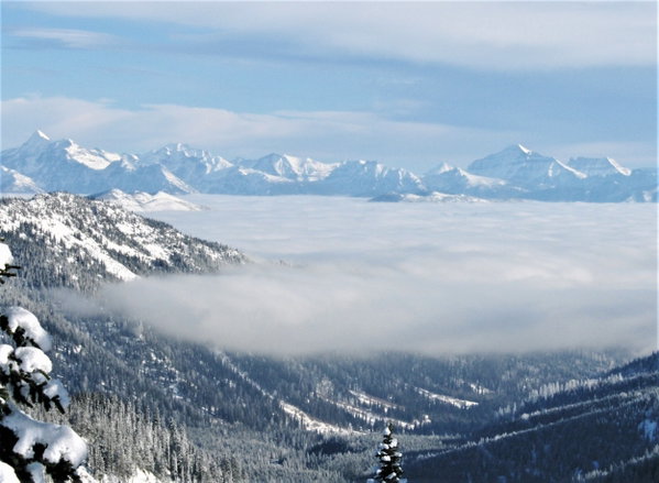 Whitefish Wanderlust