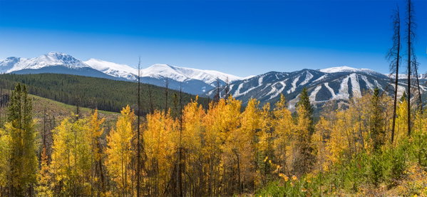 Pristine Winter Park