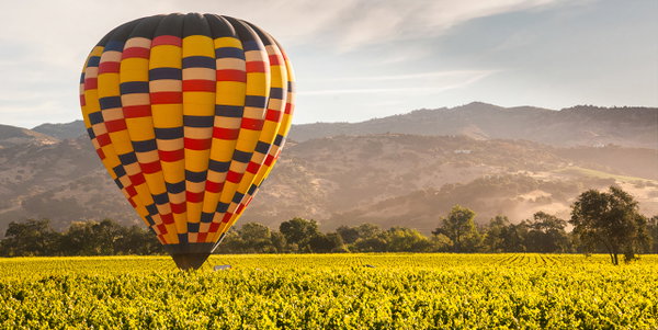 Napa Valley Vineyards