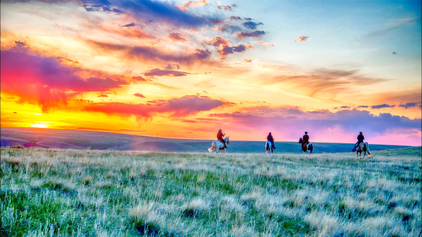 Montana Ranch Retreat