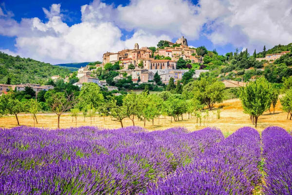 Peaceful Provence