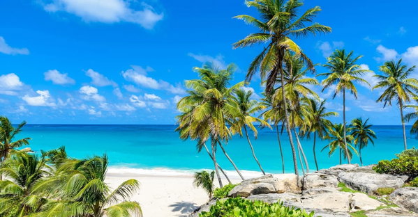 Blissful Barbados