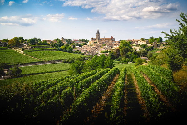 Bordeaux Bliss