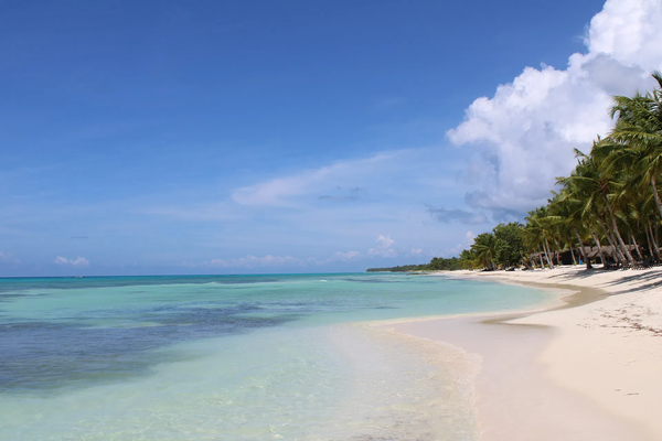Punta Cana Palms