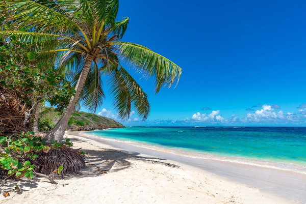 Grand Cayman Breeze