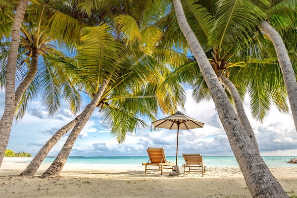 Bajan Dreams