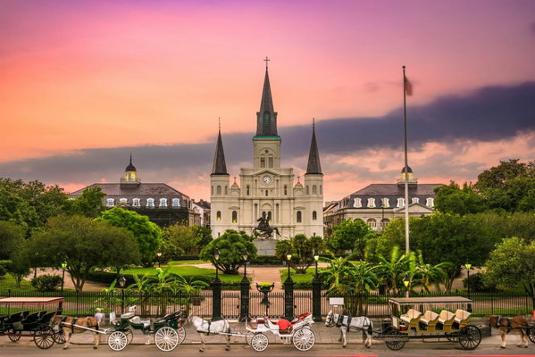 New Orleans Nights