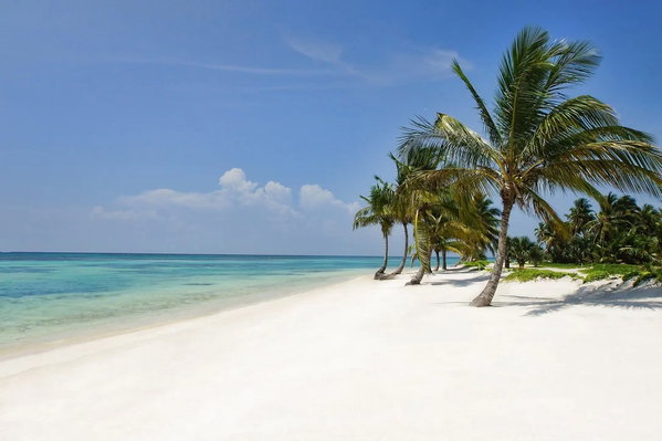 Punta Cana Luxury