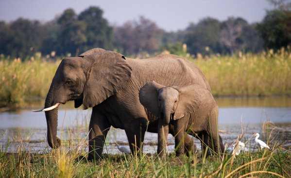 Wonders of Zimbabwe