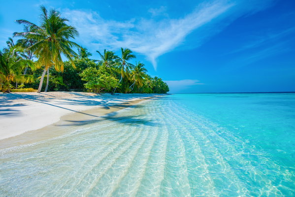 Maldives Magic