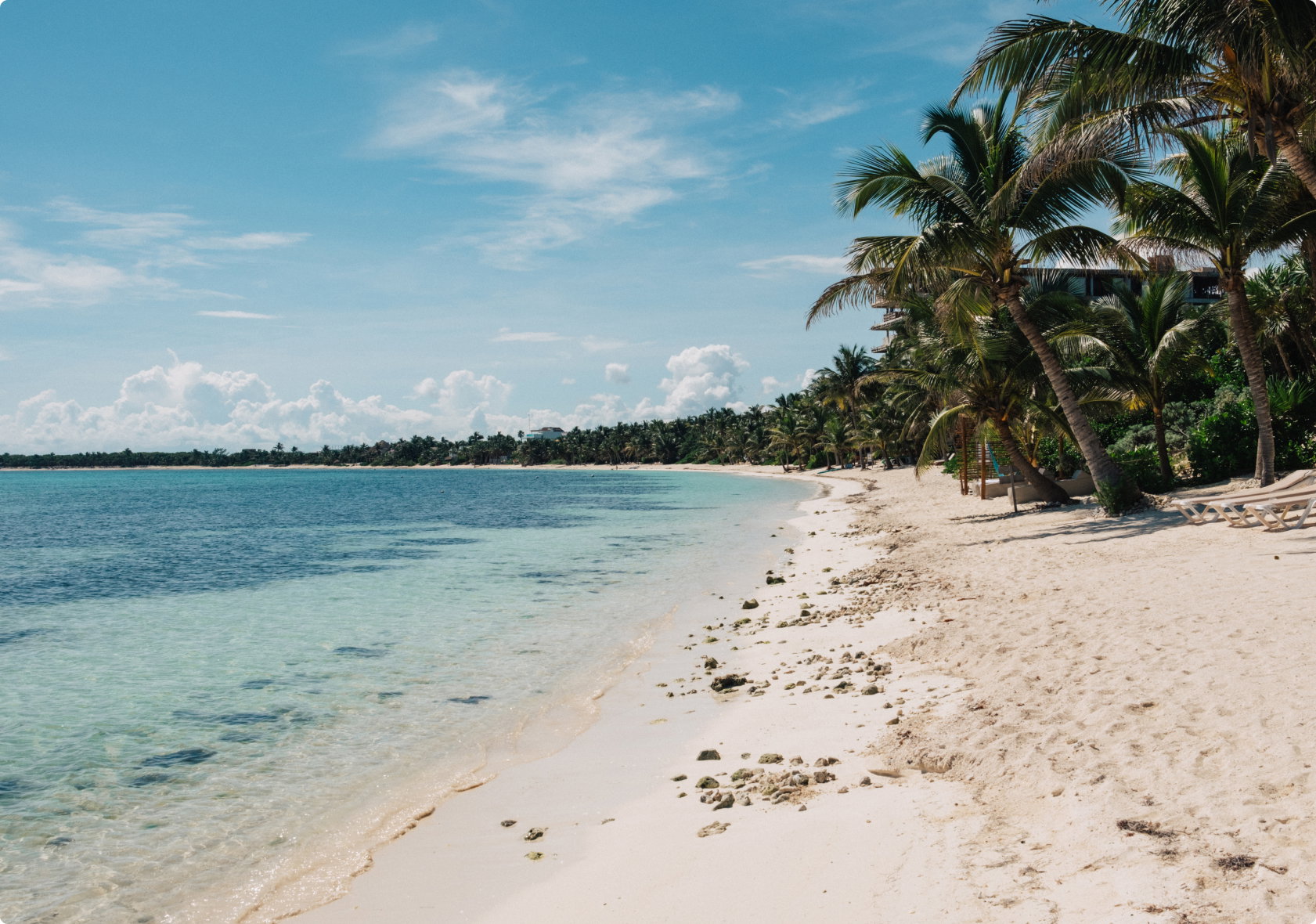 Palm-lined beach at Soliman Bay, Tulum