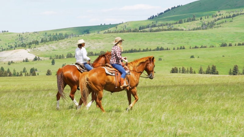 Montana Ranch Retreat, Cascade County, United States of America, photo 6 of 18