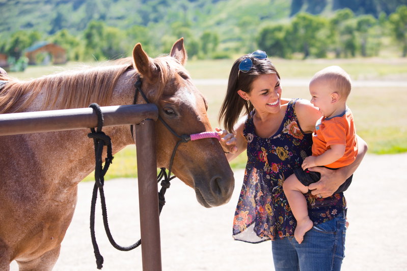 Montana Ranch Retreat, Cascade County, United States of America, photo 18 of 18