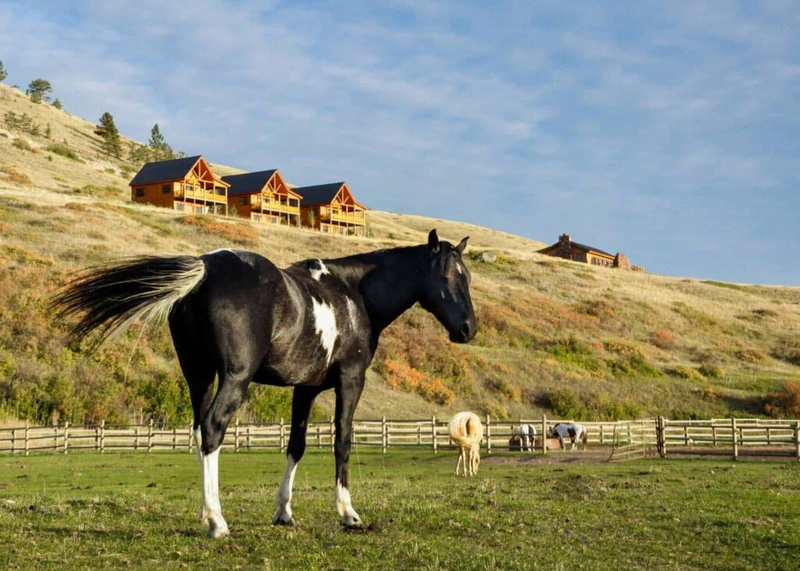 Montana Ranch Retreat, Cascade County, United States of America, photo 13 of 18