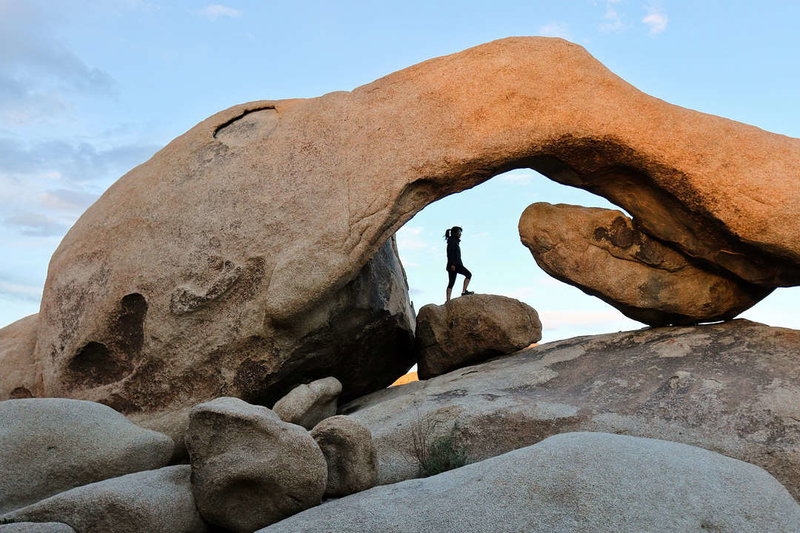 Joshua Tree Tranquility, Joshua Tree, United States of America, photo 27 of 27
