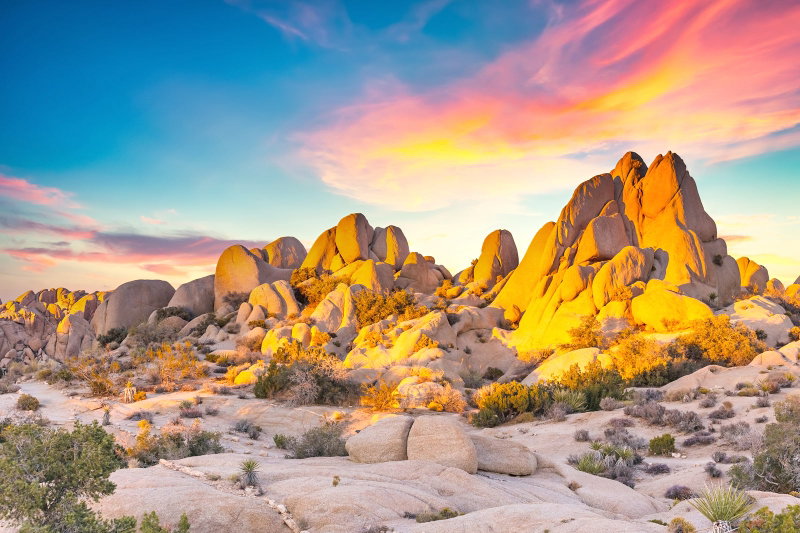 Joshua Tree Tranquility, Joshua Tree, United States of America, photo 4 of 27