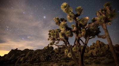 Joshua Tree Tranquility, Joshua Tree, United States of America, photo 1 of 27