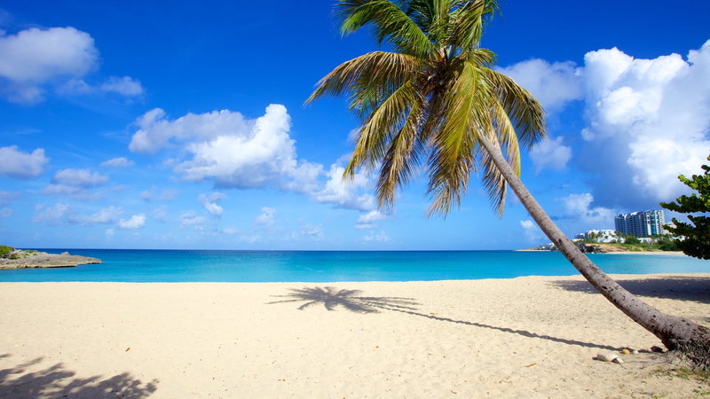 St. Martin Moments, St. Martin, Sint Maarten (Dutch side), photo 6 of 27