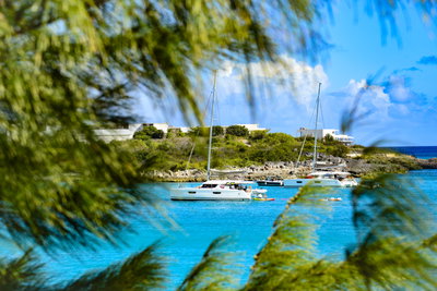 St. Martin Moments, St. Martin, Sint Maarten (Dutch side), photo 1 of 27