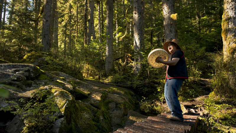 Breathtaking British Columbia, Great Bear Rainforest, Canada, photo 21 of 25