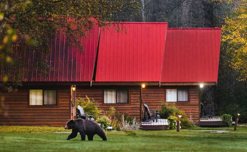 Breathtaking British Columbia, Great Bear Rainforest, Canada, photo 17 of 25