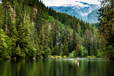 Breathtaking British Columbia, Great Bear Rainforest, Canada, photo 1 of 25