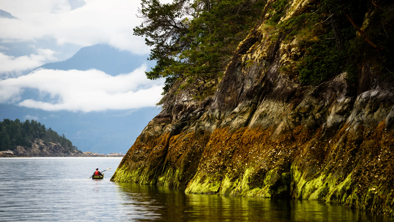 Breathtaking British Columbia, Great Bear Rainforest, Canada, photo 25 of 25