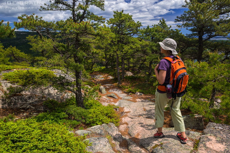 Acadia Awe, Acadia, United States of America, photo 14 of 16