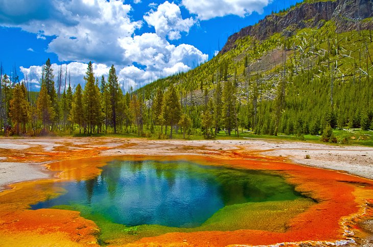 Yellowstone Dreams, Yellowstone, United States of America, photo 11 of 13