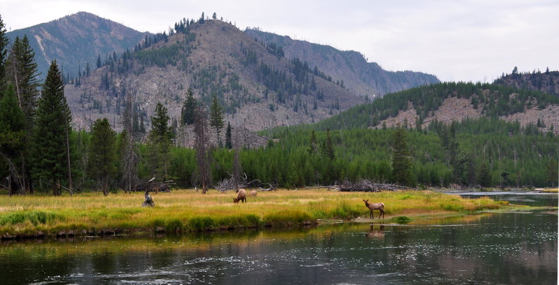 Yellowstone Dreams, Yellowstone, United States of America, photo 9 of 13