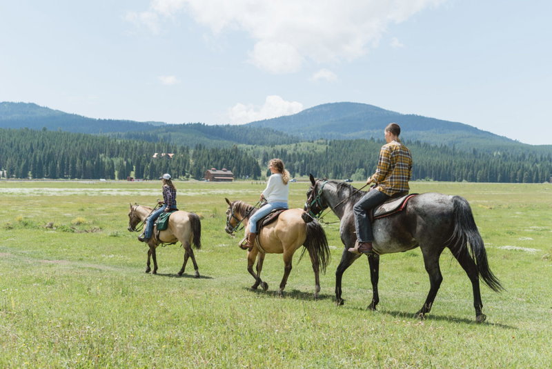 Yellowstone Dreams, Yellowstone, United States of America, photo 8 of 13