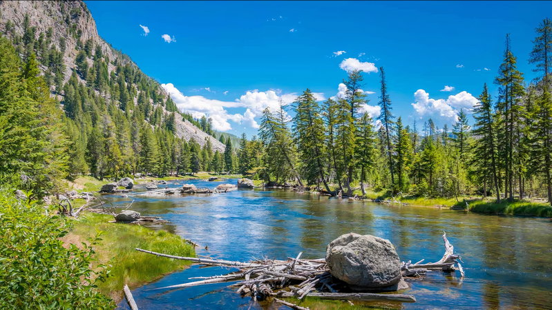 Yellowstone Dreams, Yellowstone, United States of America, photo 13 of 13