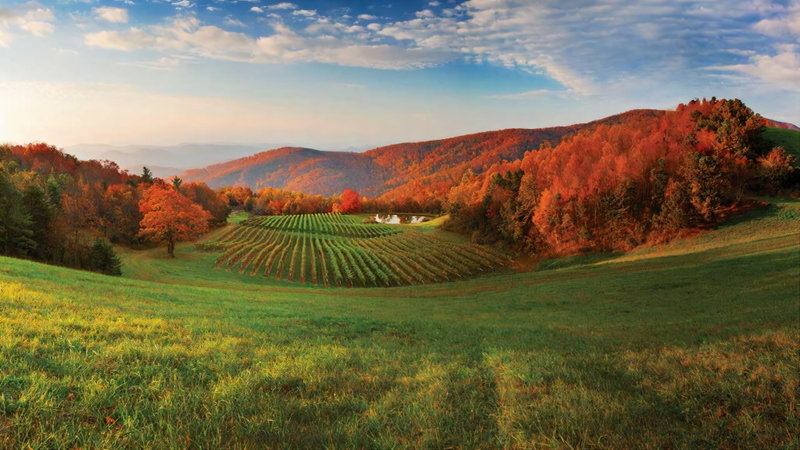 Blue Ridge Retreat, Blue Ridge Mountains, United States of America, photo 2 of 19