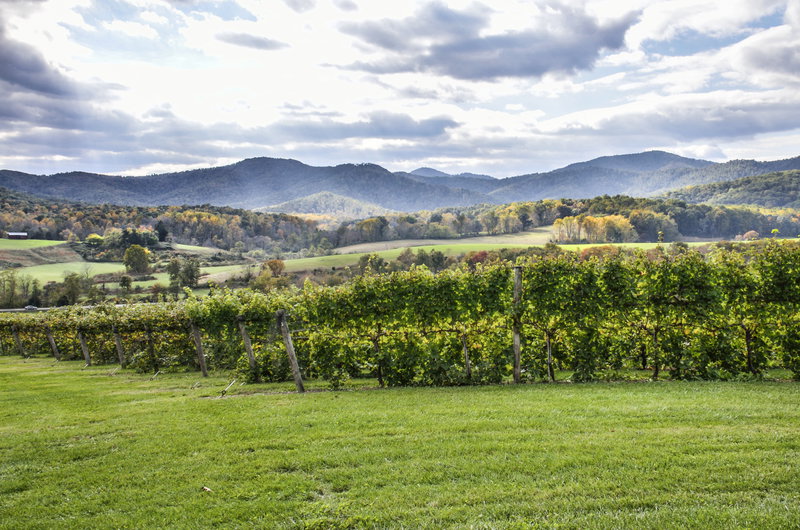 Blue Ridge Retreat, Blue Ridge Mountains, United States of America, photo 17 of 19