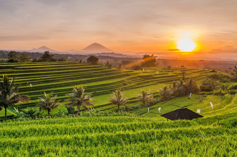 Balinese Breeze, Bali, Indonesia, photo 21 of 22