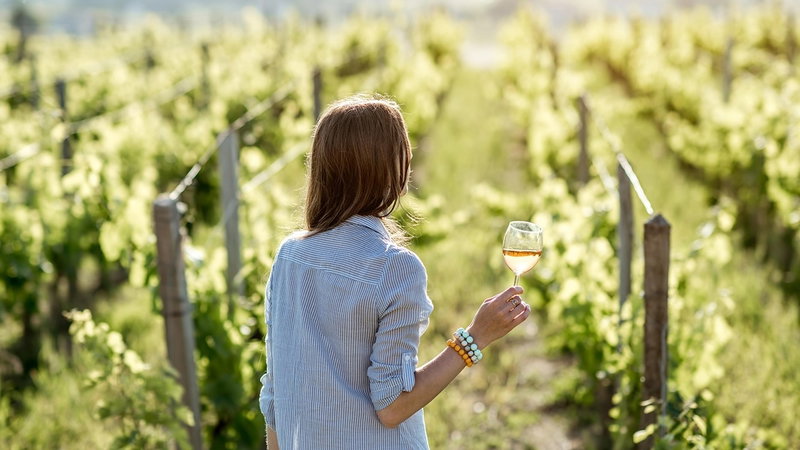 Oregon Wine Trail, Willamette Valley, United States of America, photo 36 of 39