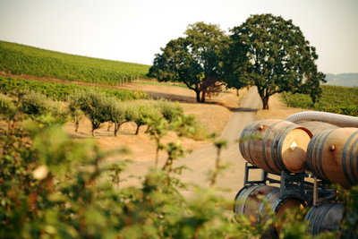 Oregon Wine Trail, Willamette Valley, United States of America, photo 1 of 39